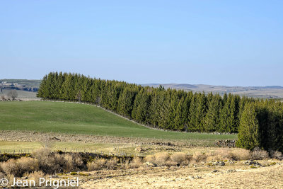 Aubrac 2019
