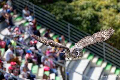 Beauval 2019