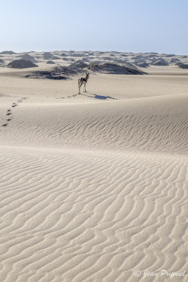 Swakopmund la cte