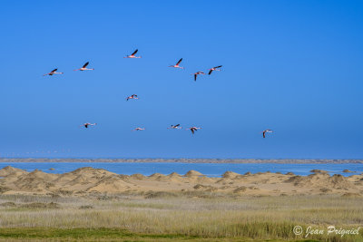 Swakopmund la cte