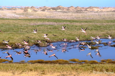 Swakopmund la cte