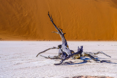 Namibie 2019