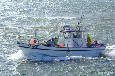 g12/58/500858/3/171098367.LyYmRXT6.jpg