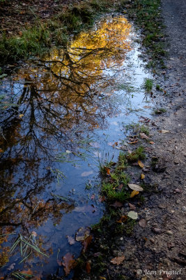 Automne 2020