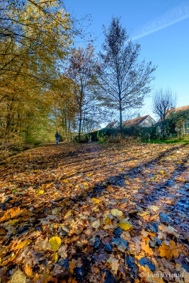 Automne 2020