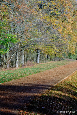 Automne 2020