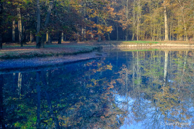 Automne 2020
