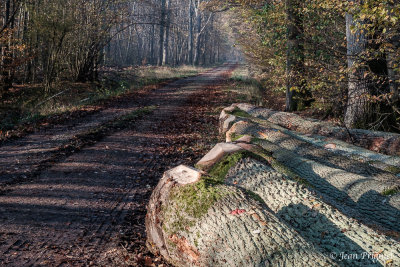 Automne 2020