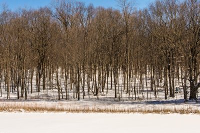 DSC_9761.jpg