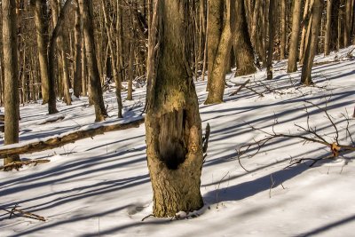 DSC_9762.jpg