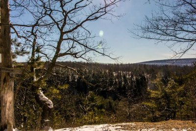 DSC_9775.jpg