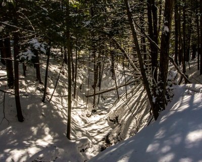 DSC_9781.jpg