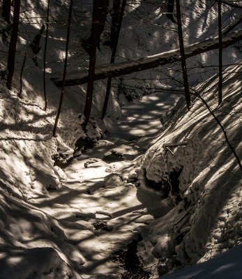 DSC_9784.jpg