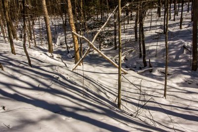 DSC_9785.jpg