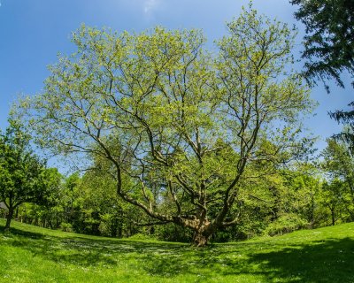 DSC08690.jpg