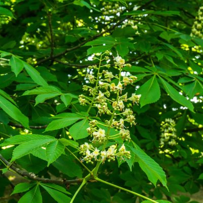 DSC08840.jpg
