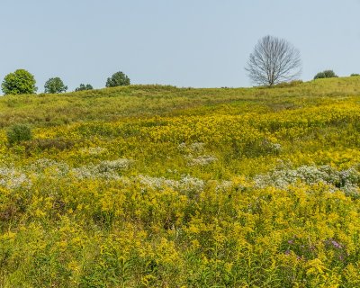 DSC09145.jpg