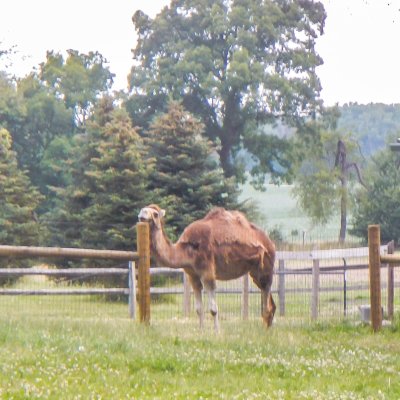 DSCN3188.jpg