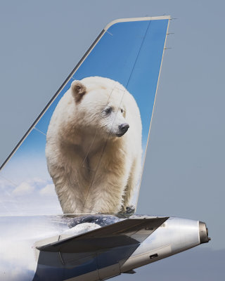 Kit the Kermode Bear ( Endangered Species)