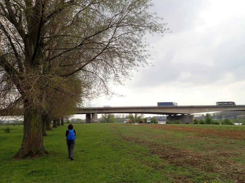 Stage 19: Highway viaduct