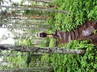 Rocky forest path