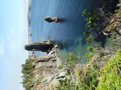 Pillar rocks