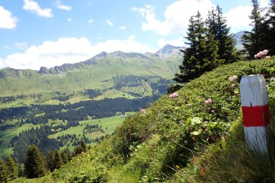 View from trail