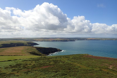 Coastal landscape