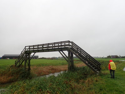 Stage 1: Footbridge