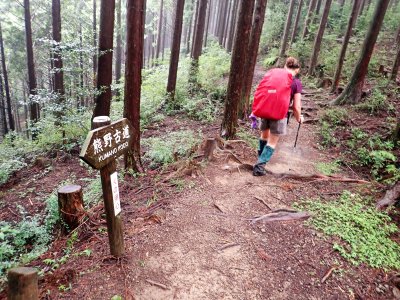 g12/58/630158/3/170218881.2yHdY15A.jpg