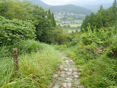 Cobblestone path