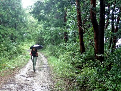 Walking in the rain
