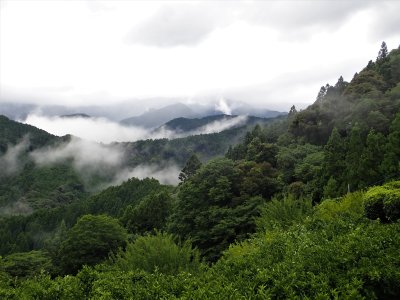 g12/58/630158/3/170337666.jyR6Xb5e.jpg