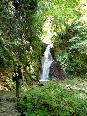 Medaki waterfall