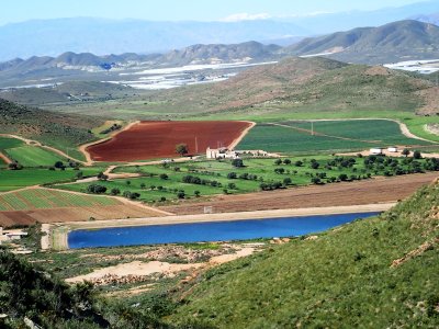 Plains of Cortijo del Fraile