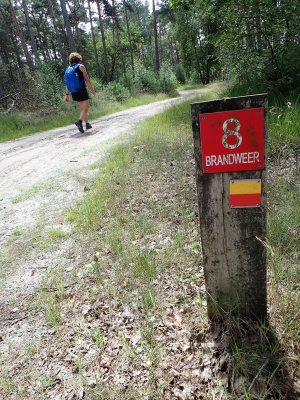 Stage 5: Trail marker