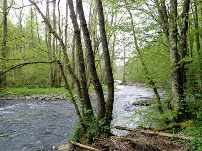 Lesse river