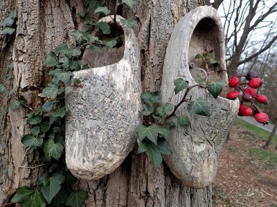 Stage 13: Clogs on a tree