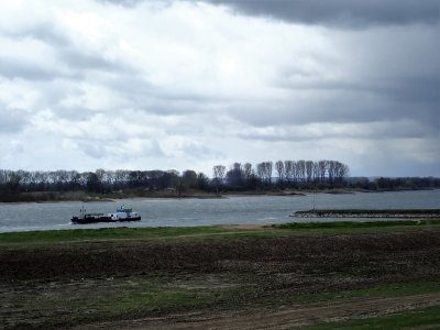 Stage 15: Rhine river