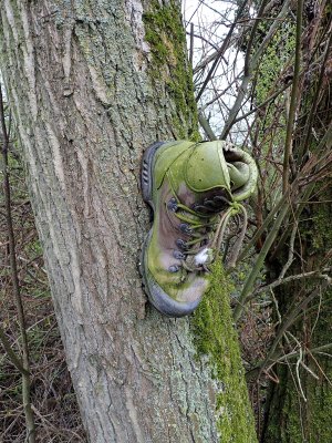 Stage 15: Boot on a tree