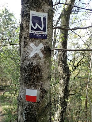 Stage 20: Trail markers
