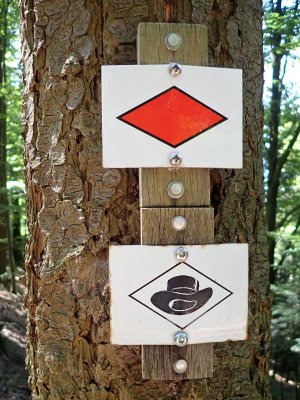 Stage 6: Trail markers