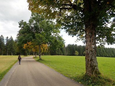 g12/58/630158/3/172161601.BGwe69N4.jpg