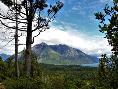 Trail view