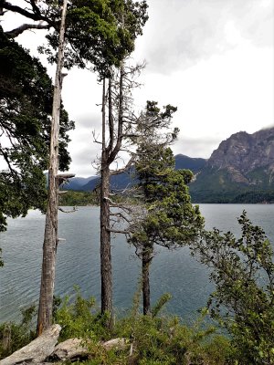 Mirador Lago Moreno