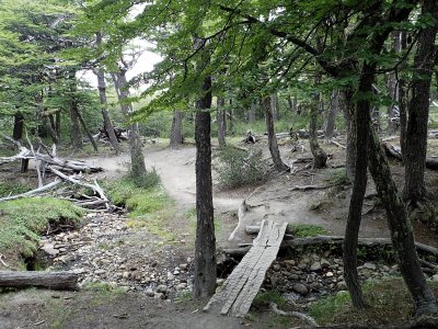 Wooden planks