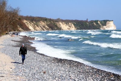 Rugged coast