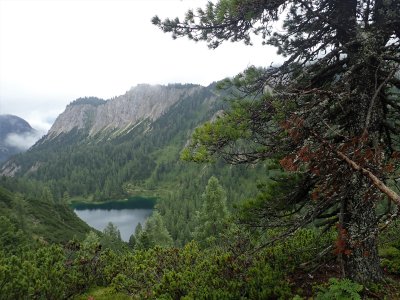 Grafenbergsee 