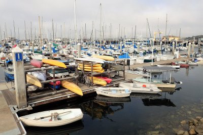 Marina of Monterey