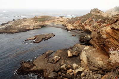 Sea Lion Cove